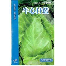 興農種苗 牛心甘藍種子 早收種 適合家庭園藝 種植容易, 1個