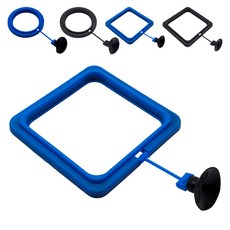 물멍 사각 피딩트레이 피딩링 피딩스테이션 관상어 수족관 열대어 물고기 부상형 먹이 급여 사각형, 20g, 1개, 사각형 블루_파랑