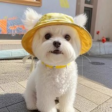 Warmth 강아지 모자 강아지 썬캡 고양이 모자 안벗겨지는 애견모자, 1개, Yellow