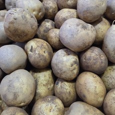 강원도 두백감자 2kg/혼합과, 1개, 2000