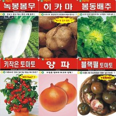 GREEN가든 AR 씨앗 무 배추 양파 옥수수 토마토 수박 참외 콩 히카마 감자 종자, 산미나리 400립