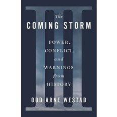 (영문도서)The Coming Storm: Power Conflict and Warnings from History Hardcover, Henry Holt & Company, English, 9781250410283