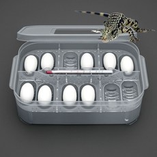 파충류 부화기 도마뱀 알 인큐베이터 투명 해칭박스 게코 뱀 부화통 12구 온도계포함yh.9+2SjI