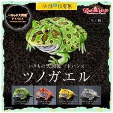 BANDAI 生物大圖鑑 扭蛋 角蛙, 5.白色