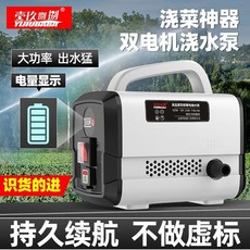 水泵 澆菜神器 澆水機抽水泵 農村用灌溉充電式鋰電新型菜地自動澆地淋菜, 1個, 旗艦款1200mAh【澆花澆菜洗車】,5米出水管+2.8米進水管