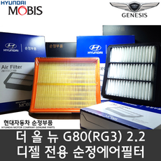 더올뉴G80 디젤 에어필터 / 28113 T1610 / G80 20 디젤 에어클리너 / 28113T1610 / 순정부품 / G80 20(RG3) / 2200CC NEW-R엔진, 1개