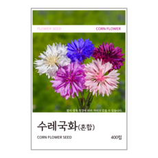 수레국화(혼합) 씨앗 400립, 1개
