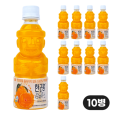 제주엔 한라봉 100% 착즙 감귤주스, 10개, 330ml