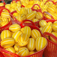 CS1%미만 노씨고집 정품 성주 꿀참외, 1개, 5kg (혼합과)