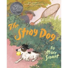 Stray Dog, Harpercollins Juvenile