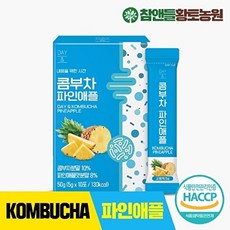 참앤들황토농원 데이앤 콤부차 파인애플 5g 10포 1박스