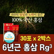 홍삼 스틱 알지쓰리 Rg3 특이 사포닌 국산 6년근 홍삼 프리미엄 선물세트, 2개, 30회분