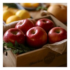 [햇살가득] 명절 실속선물 1.5kg(사과6과) 과일선물세트, 1