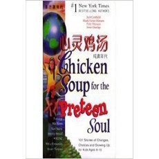 E=Chicken Soup for the Soul (Chinese Edition), Health Communications, Inc.