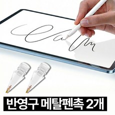 프렌티 아이패드 펜슬 촉 애플펜슬 펜촉 메탈 1/2/3세대 호환, 2개
