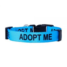 해외 Native Pup Adopt Me 강아지 칼라 미국매장정품+ 1711198, .0001.블루.