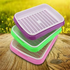 두루픽 새싹 수경 재배기 키우기 콩나물 식물 트레이