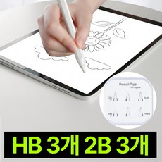 딜러버 아이패드 펜슬 촉 애플펜슬 펜촉 1/2세대 호환 2B HB 총 6개입, 1세트