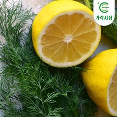 [온도씨]레몬딜버터 만들기 (레몬1개 딜10g), 1개, 상세 설명 참조