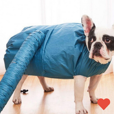 반려동물미용 강아지 고양이 반려동물 털 말리기 펫 드라이, 1개, S