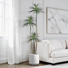 大型龍血樹室內仿真植栽 1.8米 高 附贈花盆, 辦公室必備事業有成龍樹1.8公尺室內大型仿真植栽（贈送花盆）, 1個