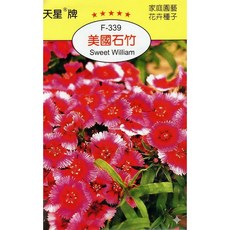 天星牌 美國石竹Sweet William 種子 (F-339) - 野菜部屋, 1包
