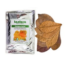 탄토라 알몬드잎 M 1장, 1개