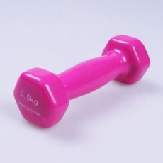 아령 0.5Kg 헬스 홈트레이닝 웨이트 덤벨 운동 아령 아령 덤벨 홈트아령 홈트덤벨 아령세트 덤벨세트 웨이트기구 헬스아령 헬스덤벨+커머스연구소Shop, 빠른배송