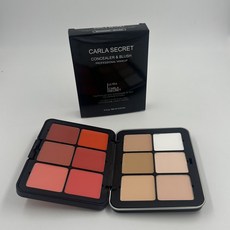 DR精選美妝平價店12色大師盤，多功能彩妝盤，腮紅膏高光遮瑕，自然清透日常妝，多色組合, 1個, 12修容 遮瑕 高光盤