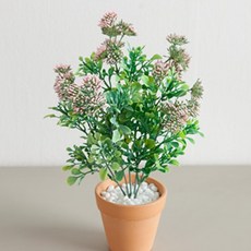 세덤화분set 30cm (DIY) 조화 인테리어, 1개, 핑크