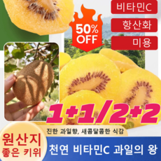 [1+1+2+2특가!] 키위칩 1kg 오가닉 골드 말린 키위 천연 비타민C 건키위, [1+1] 500g/가방