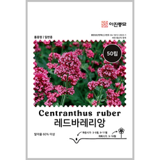 [주주씨앗] 레드바레리앙 씨앗 50립 / 향수 원료인 다년생 허브 종자 / 봄 파종 허브씨 씨앗몰, 1개