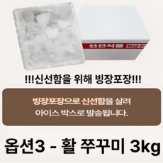 봄 제철 100% 자연산 서해 활 쭈꾸미 산지직송 당일조업 당일발송 빙장포장 선선함유지, 1개, 활쭈꾸미3kg