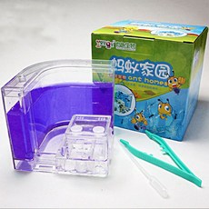 개미키우기 과학교구 사육통 방학숙제 곤충관찰용, C. 퍼플