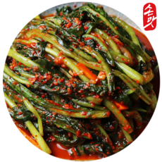 [밥앤찬] 맛있는 전라도식 열무김치 시원한열무, 1kg, 1개