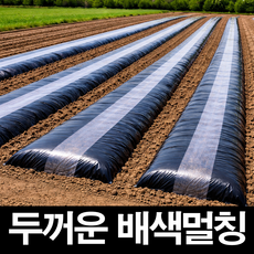농대나온남자 배색 멀칭비닐 두꺼운 두께 0.02 폭 100cm 길이 200m 고추 감자 마늘 양파 무 배추 텃밭 농사 농업용 비닐, 1개