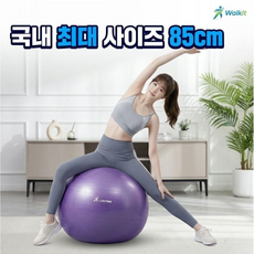 워크킷 PVC 대형 짐볼 85cm 피트니스 공 요가 헬스장 필라테스 홈트, 퍼플+펌프