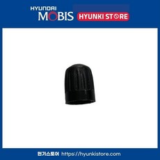 현대 기아 순정 캡 밸브 52944L1100 / 52944 L1100, 1개, 호환 차종