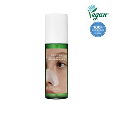 닥터엘시아 프리미엄 퀵 스텝 세범 클렌저 100ml, 1개, 1개입