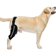 강아지 다리 보호대 무릎 예방 커버 개 뒷다리 관절 지지대 족저 양쪽에 특수 스프링 내장, 오른쪽 다리 / 내장형 스프링 스트립 2개, 사이즈 2 허벅지 둘레 10-14, 종아리 둘레 5-9