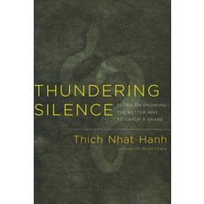 (영문도서)Thundering Silence: Sutra on Knowing the Better Way to Catch a Snake Paperback, Parallax Press, English, 9781888375985