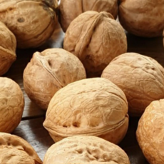 햇 호두 25년 9월 안동 생산 얇은 껍질 특품 1kg 덤100g, 특품 1kg 77~85알 [판매자추천], 1박스