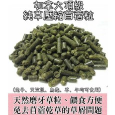 萌兔坊 無添加 牧草粒 純草苜蓿粒 老兔 幼兔 天竺鼠 營養補給 成兔點心, 1個, 美國苜蓿粒1公斤（本身顏色偏黃）