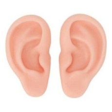 실리콘 귀모형 세트 교육용 귀걸이 전시용품, 양쪽세트