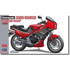 하세가와 112 가와사키 KR250 (KR250A) 레드 그레이 컬러 플라스틱 모델 21751