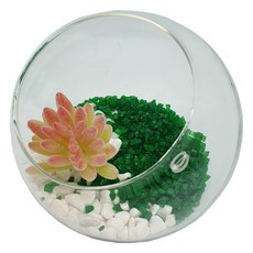 다육이 모형 을려심 - 테라리움 장식 정원 가든 DIY, 1개