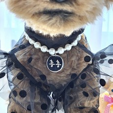 바이굄 강아지 인식표 애견 이름표 반려견 써지컬 스틸 펜던트 엘레강스 진주 모양 목걸이, 1개, 아이보리