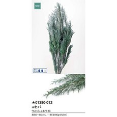 日本大地農園不凋諾貝松雪松藍柏石松羅漢柏聖誕節裝飾永生花乾燥花，持久 сохраняет 美麗，營造溫馨浪漫氣氛, 01380-012不凋羅漢柏