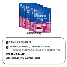 그릭 요구르트 제조기 유청 분리기 발효 용기 요거트, 천슈 요거트 박테리아 5팩 50개, 기본 색상