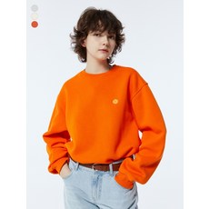 국내매장판 그루브라임유니 C100 3단쭈리 동그라미 포인트 자수 맨투맨 LRRSCTM146M 125993